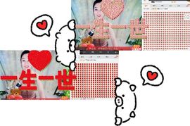 罐头，主播照片