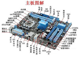 马后炮vs挂板車主播照片