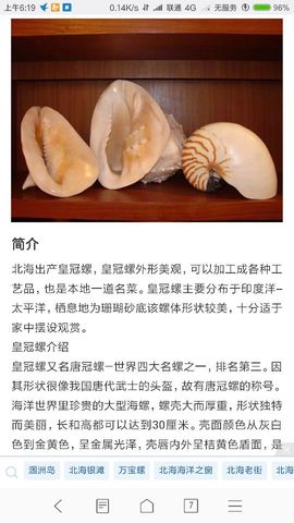 勇⑦气主播照片