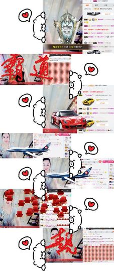 罐头，主播照片