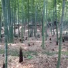 知足常乐w7y9海报