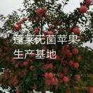 农村庄园海报