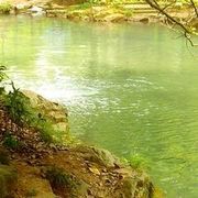 ?陽(yáng)光tian淡的主播照片