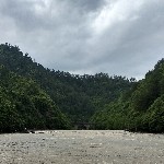 起个名也这么麻烦
