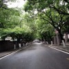 凉生zj海报