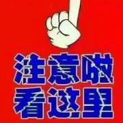 人参产地批发零售53海报