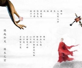 ◆◇の沫沫守候﹎主播照片
