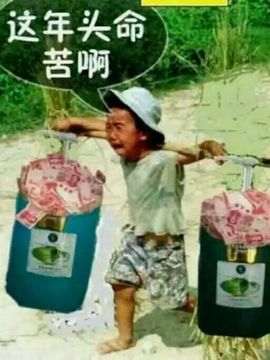 ;总在得失之间;主播照片