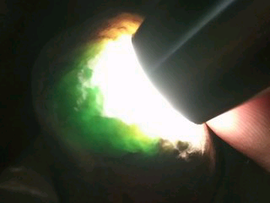 昵称违规，请重新修改主播照片