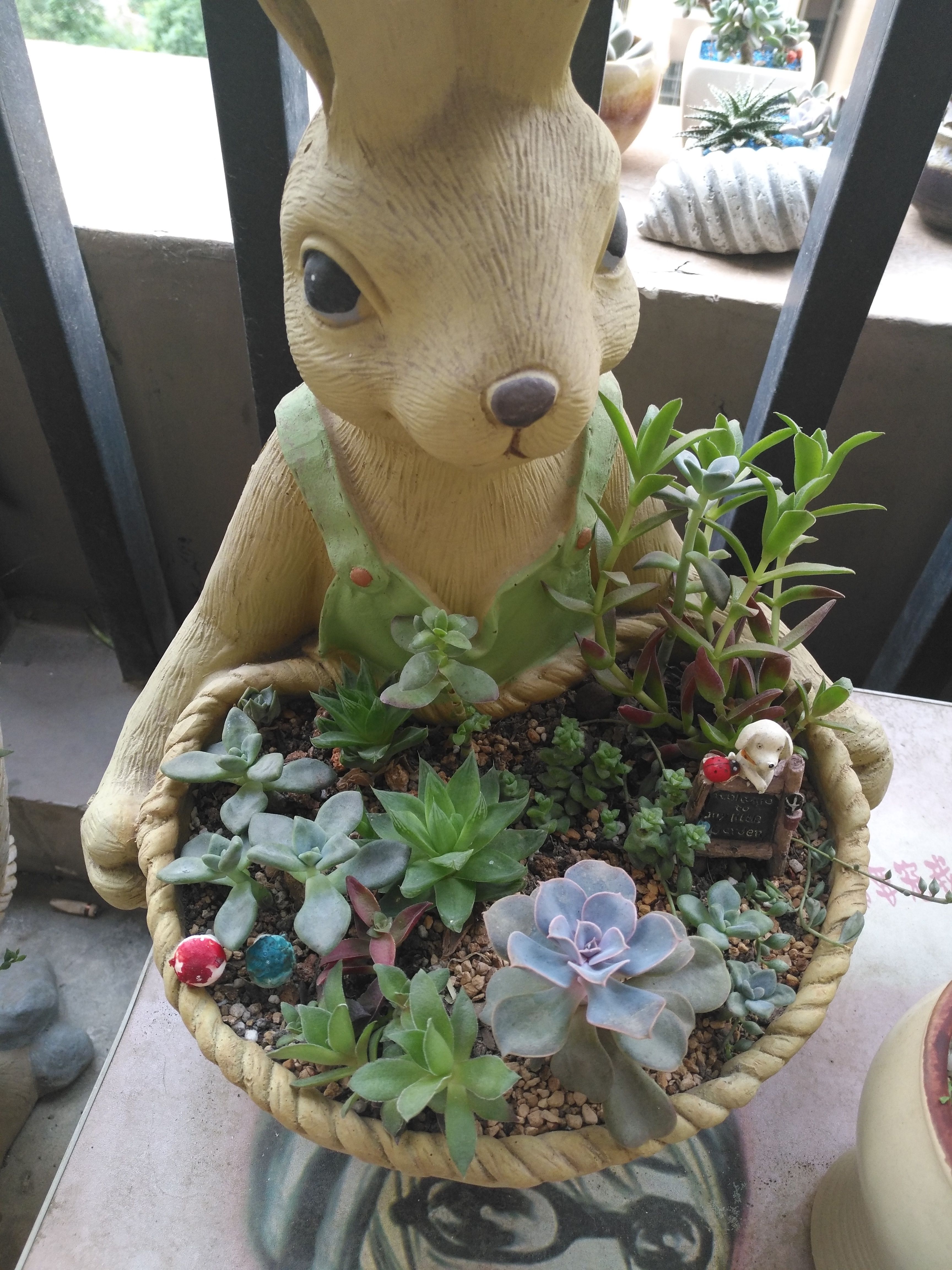 玉儿*努力升级中主播照片