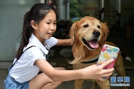 白眼猪😌漠漠陪伴主播照片