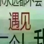 瘋😳子海报