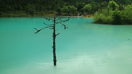 胖虎摩旅骑行中国主播照片