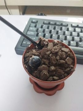 暖心今晚直播主播照片