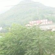 桥头望小雨