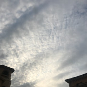 只爱禾安💗