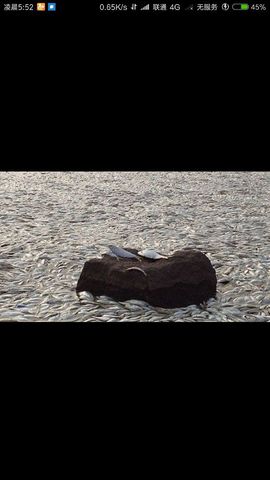 勇⑦气主播照片