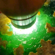 永不放弃q3的主播照片