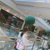 刘smile