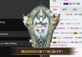 海鸽晚上见主播照片
