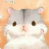 飞天鼠，🐭🐭🐭