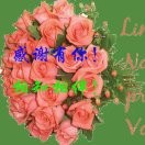 随风cgq