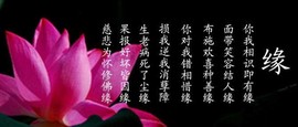 ◆◇の沫沫守候﹎主播照片