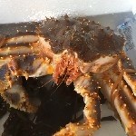 海马鲜生