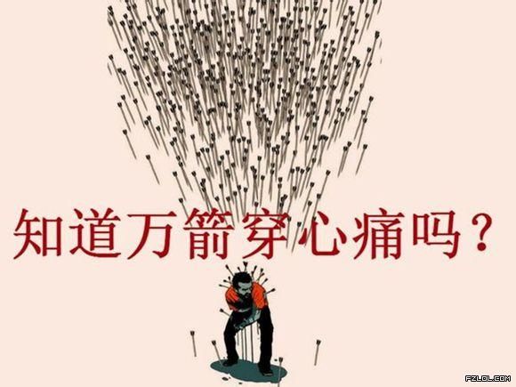 🌺慕容俊东🌺主播照片