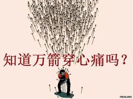 🌺慕容俊东🌺主播照片