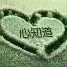 有你才快乐wd