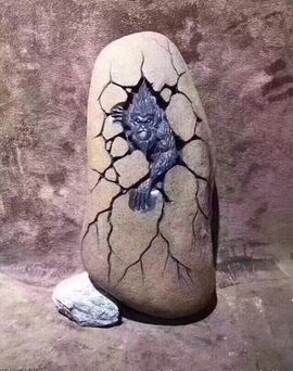 东宇翠坊主播照片