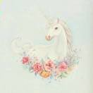 unicormdre