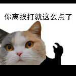 四川文姐