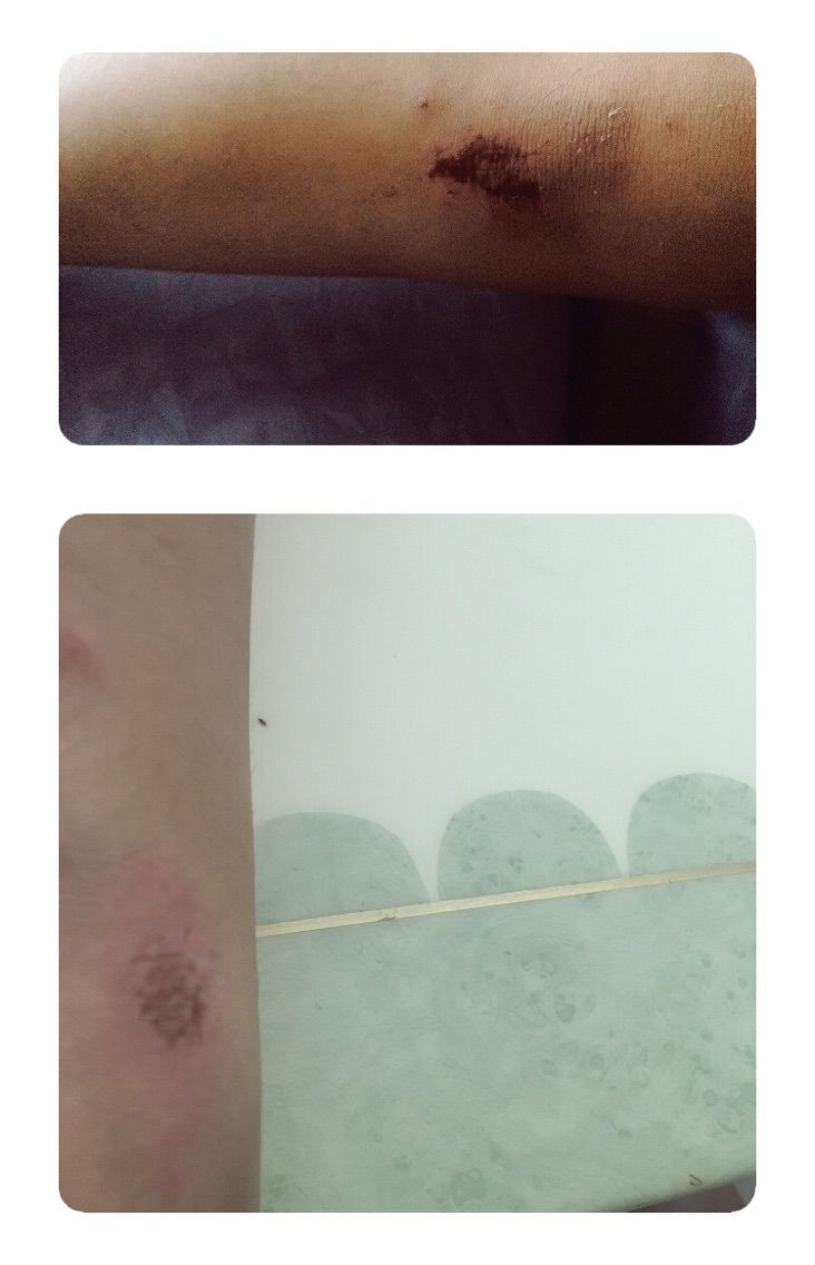 女孩与四重奏♪的主播照片