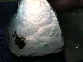 海岸线5688主播照片