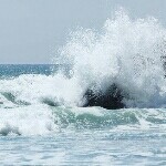 海浪紛飛的頭像