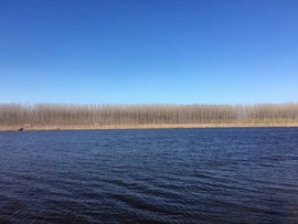 『迷糊』主播照片