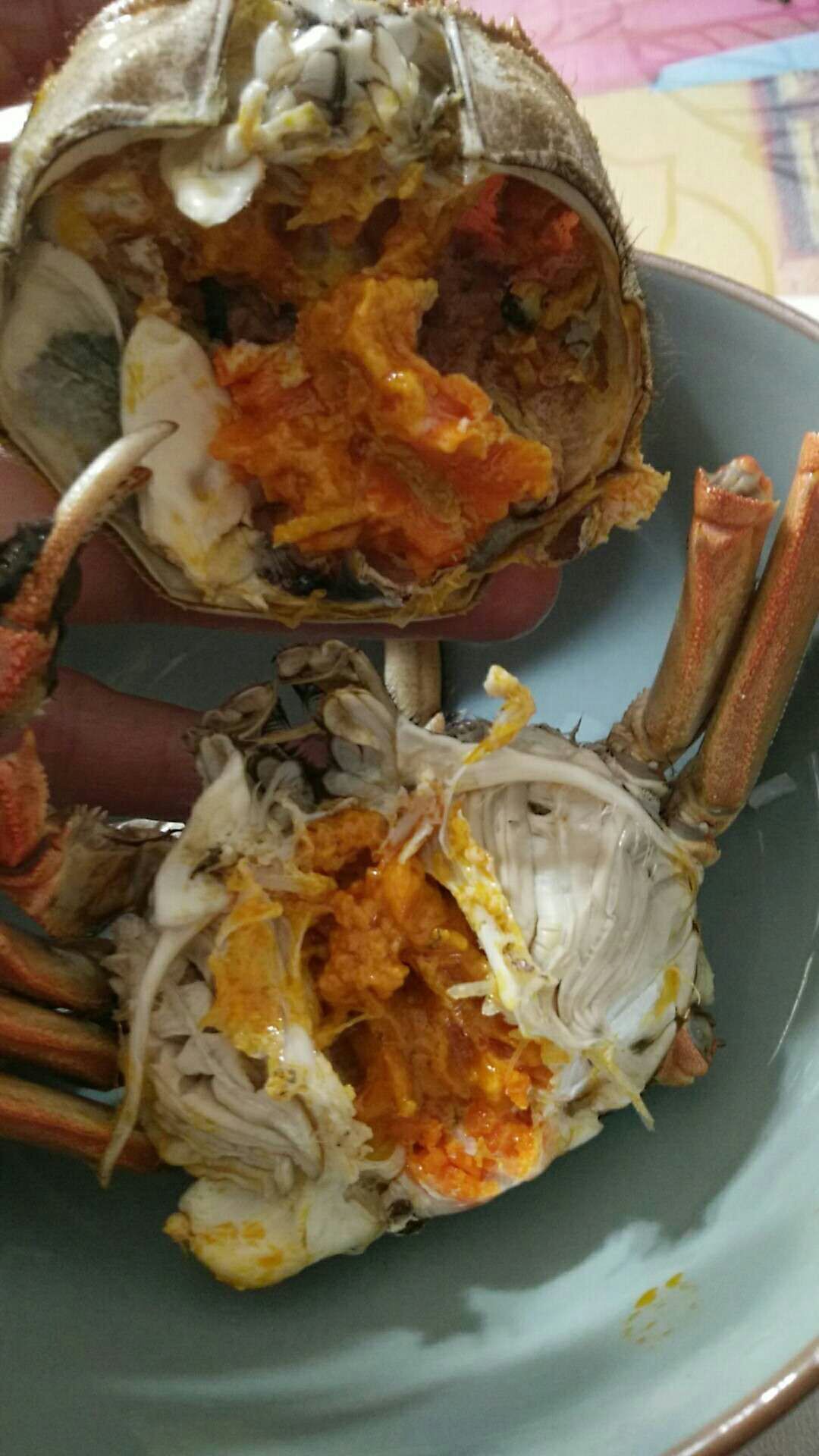 金爪农业的主播照片