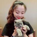小霸王🐯u