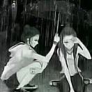 莪是沵旳提拉米苏2