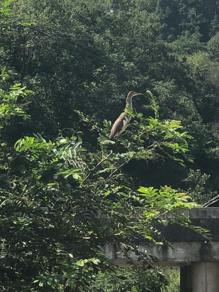我是梦想啊的主播照片
