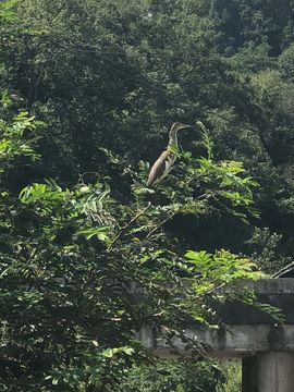 我是梦想啊主播照片