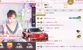 一只雁~主播照片