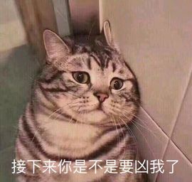 鑫儿～主播照片