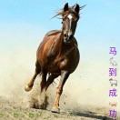 🐎心想事成🐎