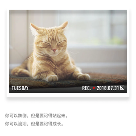 DJ21225主播照片
