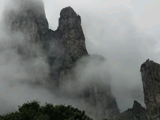 陶山逍遥子的主播照片