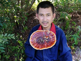 老毛钓鱼1dfiju主播照片