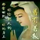 雨海轻枫